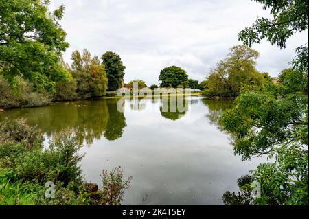 Brighton UK 4th ottobre 2022 - i livelli dell'acqua nello stagno sassone nel villaggio di Falmer vicino a Brighton sono quasi tornati alla normalità dopo le recenti precipitazioni . Lo stagno completamente asciugato fuori durante la siccità estiva del 2022 . : Credit Simon Dack / Alamy Live News Foto Stock