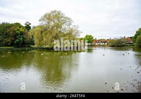 Brighton UK 4th ottobre 2022 - i livelli dell'acqua nello stagno sassone nel villaggio di Falmer vicino a Brighton sono quasi tornati alla normalità dopo le recenti precipitazioni . Lo stagno completamente asciugato fuori durante la siccità estiva del 2022 . : Credit Simon Dack / Alamy Live News Foto Stock
