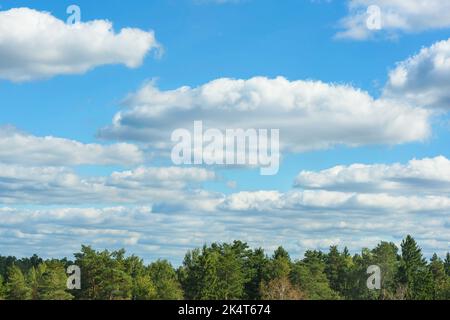Cime verdi sotto il cielo blu con nuvole bianche di cumuli Foto Stock