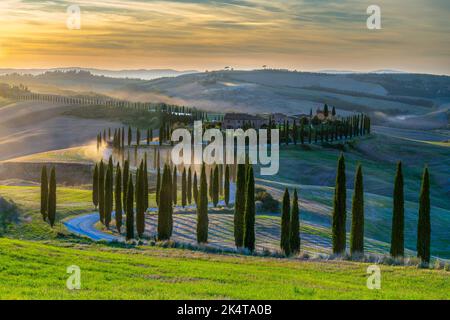 Tipico paesaggio toscano in Val D'Orcia (Siena) con cipressi, al tramonto Foto Stock
