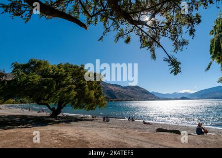 La riva del lago Wanaka a Wanaka, una piccola località sciistica estiva/invernale nella regione di Otago dell'Isola del Sud in Nuova Zelanda. Nelle vicinanze si trova il Lago Wanaka Foto Stock