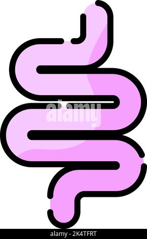 Intestino umano, illustrazione, vettore su sfondo bianco. Illustrazione Vettoriale