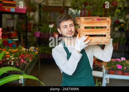 Il giovane come apprendista del giardiniere con un grembiule verde porta una scatola di fiori nel vivaio Foto Stock