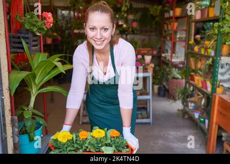 Giovane donna sorridente che lavora come fiorista o assistente in un piccolo negozio di fiori per vivaio Foto Stock