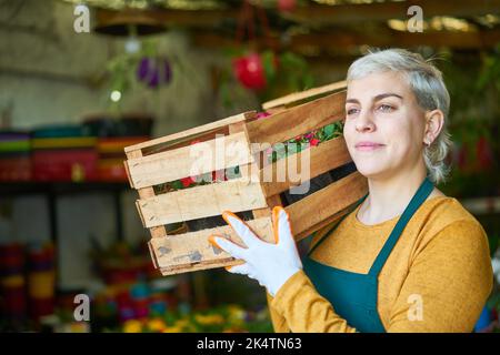 Giovane donna come giardiniere nel negozio di fiori del vivaio porta una scatola con le piante Foto Stock