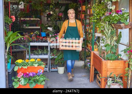 La giovane donna come apprendista del giardiniere trasporta una cassa delle piante per una consegna o un ordine Foto Stock