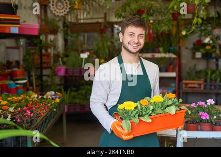 Il giovane come un tirocinante di giardiniere trasporta le piante nel vaso del fiore nel negozio del vivaio Foto Stock