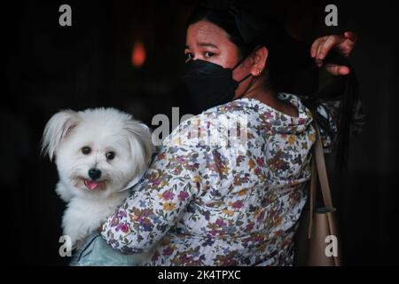 Antipolo, Filippine. 04th Ott 2022. Un proprietario porta il suo animale domestico durante la celebrazione della Giornata Mondiale degli Animali. La Giornata Mondiale degli Animali è un evento annuale che si celebra ogni 4th ottobre, la festa di Francesco d'Assisi, patrono degli Animali. La celebrazione della Giornata Mondiale degli Animali mette in evidenza la protezione degli animali come la questione più importante in tutto il mondo. Credit: SOPA Images Limited/Alamy Live News Foto Stock