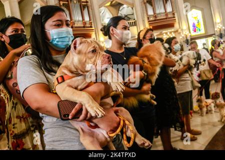 Antipolo, Filippine. 04th Ott 2022. I proprietari portano i loro animali domestici durante la celebrazione della Giornata Mondiale degli Animali. La Giornata Mondiale degli Animali è un evento annuale che si celebra ogni 4th ottobre, la festa di Francesco d'Assisi, patrono degli Animali. La celebrazione della Giornata Mondiale degli Animali mette in evidenza la protezione degli animali come la questione più importante in tutto il mondo. Credit: SOPA Images Limited/Alamy Live News Foto Stock