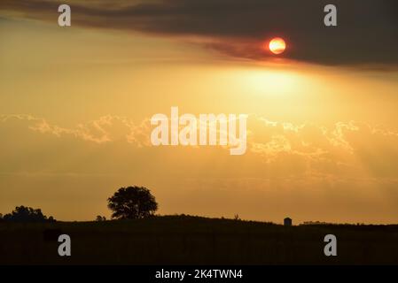 Tramonto nella couttryside di Pampas, provincia di la Pampa, Patagonia, Argentina. Foto Stock