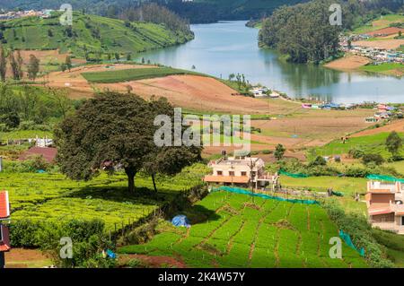 Montagne torreggianti, fattoria di carote, fiume con piccole case visibili, cielo blu e bianco, riflesso visibile in acqua, il dono della natura del verde Foto Stock