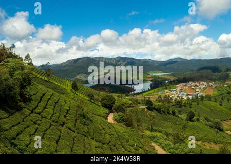 Montagne torreggianti, piantagioni di tè, fiume con piccole case visibili, cielo blu e bianco, riflesso visibile nell'acqua, il dono della natura del verde Foto Stock