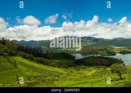 Montagne torreggianti, piantagioni di tè, fiume, cielo blu e bianco, riflesso visibile in acqua, il dono della natura di verde ovunque è il modo in cui si può e Foto Stock