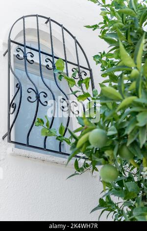 Finestra nella parete. Bellissimo reticolo forgiato sulla finestra. Scatto verticale. Foto Stock