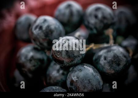 Una foto ravvicinata di uva nera in una ciotola rossa Foto Stock