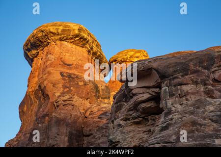 Formazioni di arenaria di Cedar Mesa all'alba nel distretto di Needles del Parco Nazionale delle Canyonlands, Utah. Foto Stock