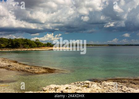 La costa adriatica nel parco nazionale di Kamenjak in Croazia Foto Stock