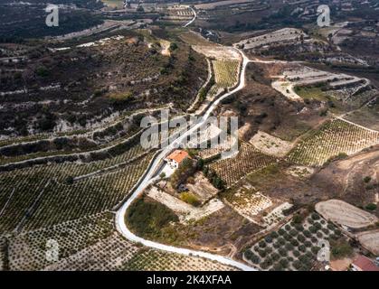 Veduta aerea dei vigneti terrazzati tra Kissousa e Vasa, distretto di Limassol, Cipro Foto Stock