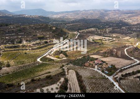 Veduta aerea dei vigneti terrazzati tra Kissousa e Vasa, distretto di Limassol, Cipro Foto Stock