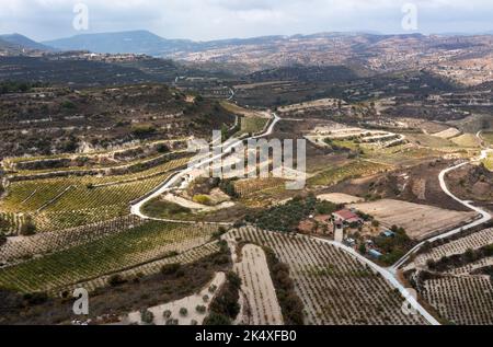 Veduta aerea dei vigneti terrazzati tra Kissousa e Vasa, distretto di Limassol, Cipro Foto Stock