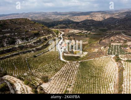 Veduta aerea dei vigneti terrazzati tra Kissousa e Vasa, distretto di Limassol, Cipro Foto Stock