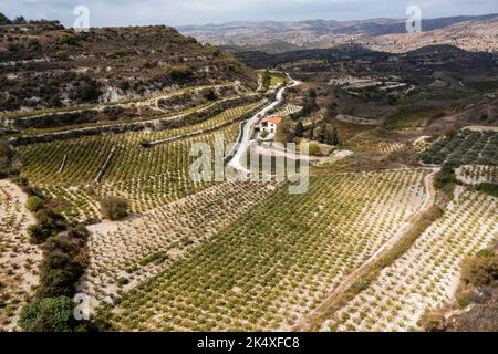 Veduta aerea dei vigneti terrazzati tra Kissousa e Vasa, distretto di Limassol, Cipro Foto Stock