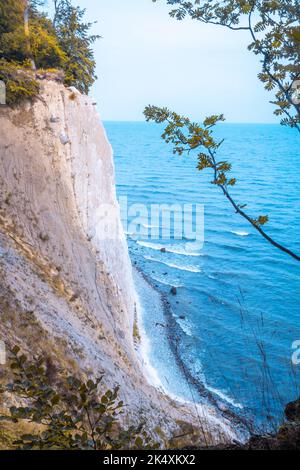 Scogliere di gesso bianco nel Parco Nazionale di Jasmund sull'isola di Ruegen Foto Stock