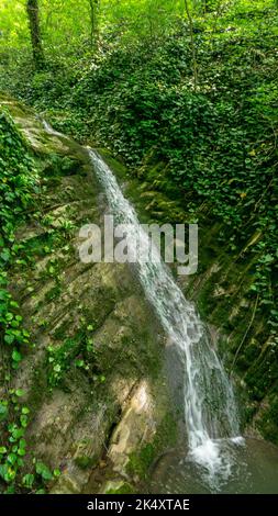 Foresta cascata a Sochi, Russia. Sentiero turistico del regno di Berendeyevo Foto Stock