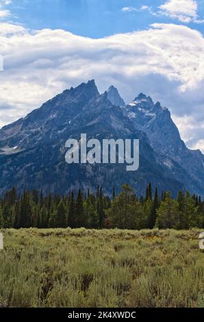 Ritratto verticale della parte Cathedral Group della catena del Teton che sorge sullo sfondo dietro un prato e una foresta nel Parco Nazionale del Grand Teton Foto Stock