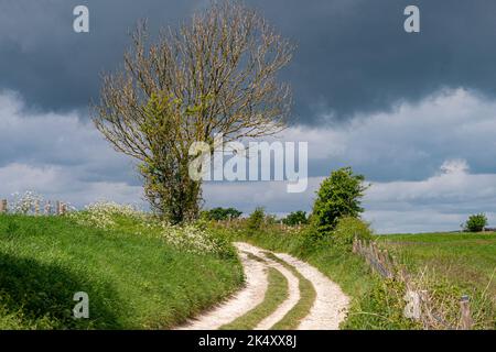 Una pista di gesso e una strada a ponte che si avvicina a Church Hill vicino a Findon nel South Downs National Park, West Sussex, Inghilterra meridionale, Regno Unito. Foto Stock