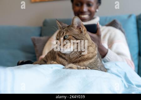 Giovane donna accarezzando un bel gatto da tavola mentre si siede sul divano. Foto Stock