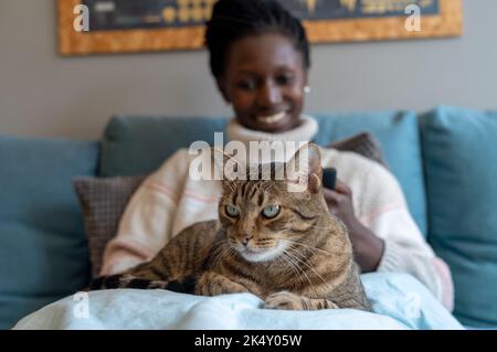 Giovane donna accarezzando un bel gatto da tavola mentre si siede sul divano. Foto Stock