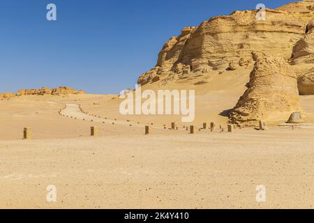 Wadi al Hitan, Faiyum, Egitto. Sentiero a piedi per i fossili presso il sito paleontologico di Wadi el-Hitan. Foto Stock