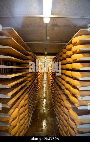 Rack pieni di giri di formaggio Gruyères a Gruyères, Svizzera dal tour della fabbrica Foto Stock