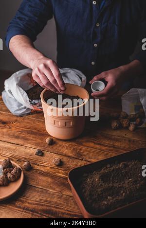 Uomo che semina i semi di Thyme nel terreno di Potting in Terracotta Pot Foto Stock