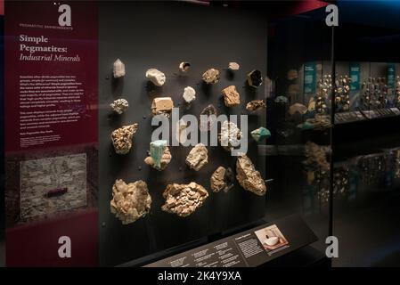 American Museum of Natural History a Manhattan, New York Foto Stock