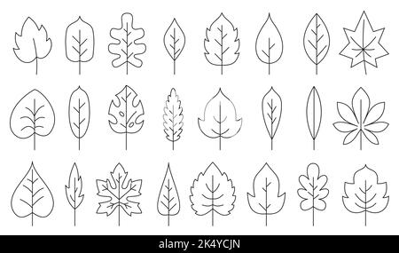 Set di icone linea nera a foglia. Colorazione pagina libro con eco natura foglie organiche di quercia betulla acero, pioppo frassino aspen castagno tè contorno germoglio isolato su bianco. Albero deciduo foresta fogliame pianta Illustrazione Vettoriale