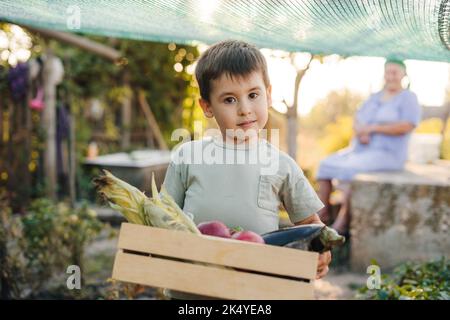 Ritratto di un ragazzo caucasico che cammina attraverso il giardino del villaggio con diverse verdure fresche, raccolto in fattoria, estate. Agricoltura di natura. Felice Foto Stock