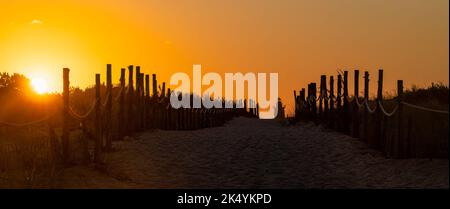 Tramonto dorato con sentiero e faro, Cape Henlopen State Park, Delaware Foto Stock