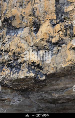 Formazione rocciosa presso la spiaggia del Seal Rock state Park vicino a Newport, Oregon. Foto Stock