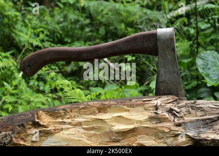 Taglio di legno utilizzando l'ascia nella foresta. Primo piano di ascia in un log su verde sfondo rurale Foto Stock