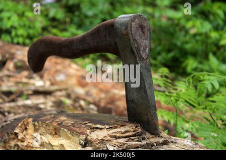 Taglio di legno utilizzando l'ascia nella foresta. Primo piano di ascia in un log su verde sfondo rurale Foto Stock