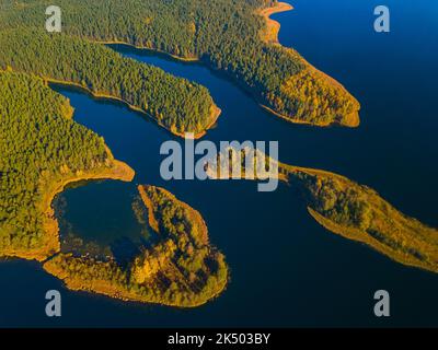 Antenna vista autunnale del lago Dringis in Lituania Foto Stock