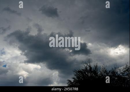 Trovo le nuvole affascinanti - le loro forme e sfumature che cambiano all'infinito rendono sempre interessante il cielo. Le nuvole di Cumulus sono il tipo più comune. Foto Stock