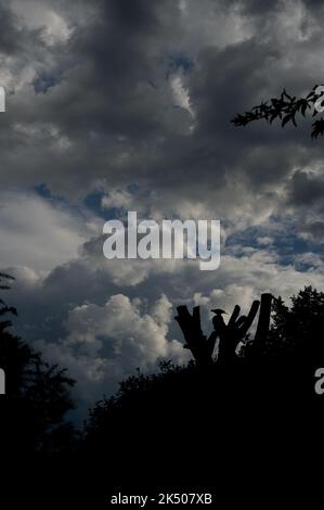 Trovo le nuvole affascinanti - le loro forme e sfumature che cambiano all'infinito rendono sempre interessante il cielo. Le nuvole di Cumulus sono il tipo più comune. Foto Stock