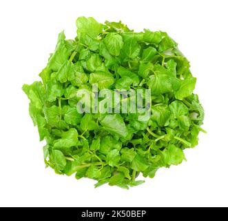 Crescione, giallo, dall'alto. Foglie fresche, crude e verdi di Nasturtium officinale, pianta acquatica fiorita dal sapore piccante. Foto Stock