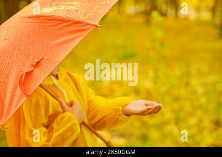 Felice bambino che cattura gocce di pioggia nel parco d'autunno Foto Stock