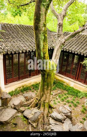 Il giardino del padiglione della Grande onda (Canglang), patrimonio dell'umanità dell'UNESCO, Suzhou, Provincia di Jiangsu, Cina. Foto Stock