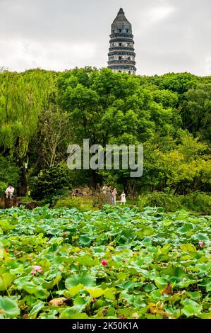 La Pagoda della collina della tigre vista da attraverso un laghetto di loto vicino all'entrata nord, Suzhou, Provincia di Jiangsu, Cina. Foto Stock