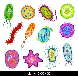 Protozoi, protista e cellule di microorganismi ameba, microrganismo vettore. Cellule unicellulari ameba e protiste al microscopio da laboratorio, tipi di organismi eucariotici protozoi Illustrazione Vettoriale